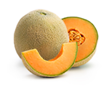 Cantaloupe