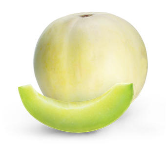 Honeydew