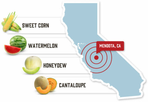 Mendota, CA -- Sweet Corn, Watermelon, Honeydew, Cantaloupe