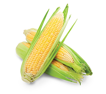 Sweet Corn